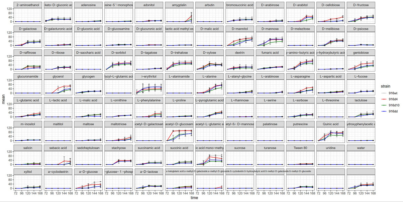 REPAINT microbiology software analysis output