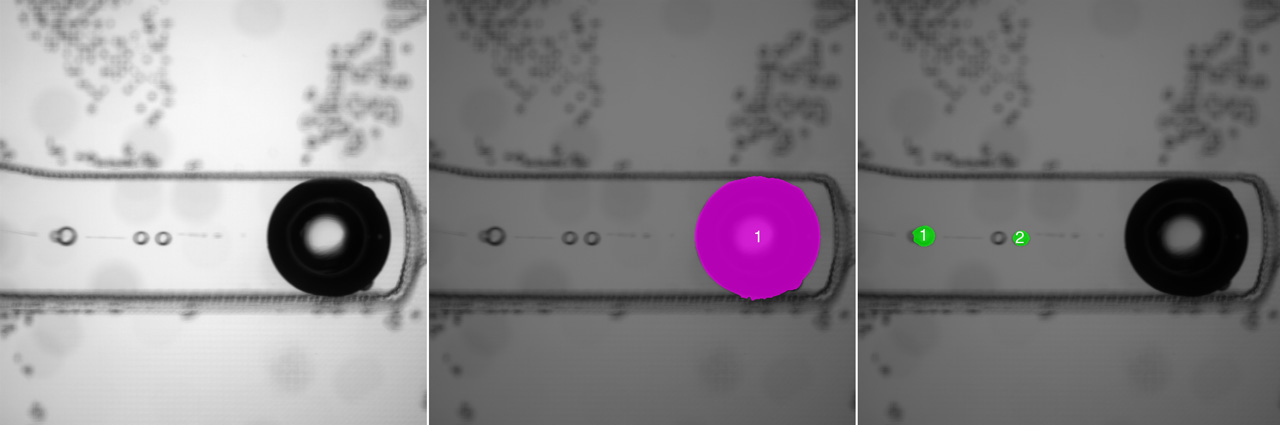 Microfluidic droplet formation within brain organoid culture