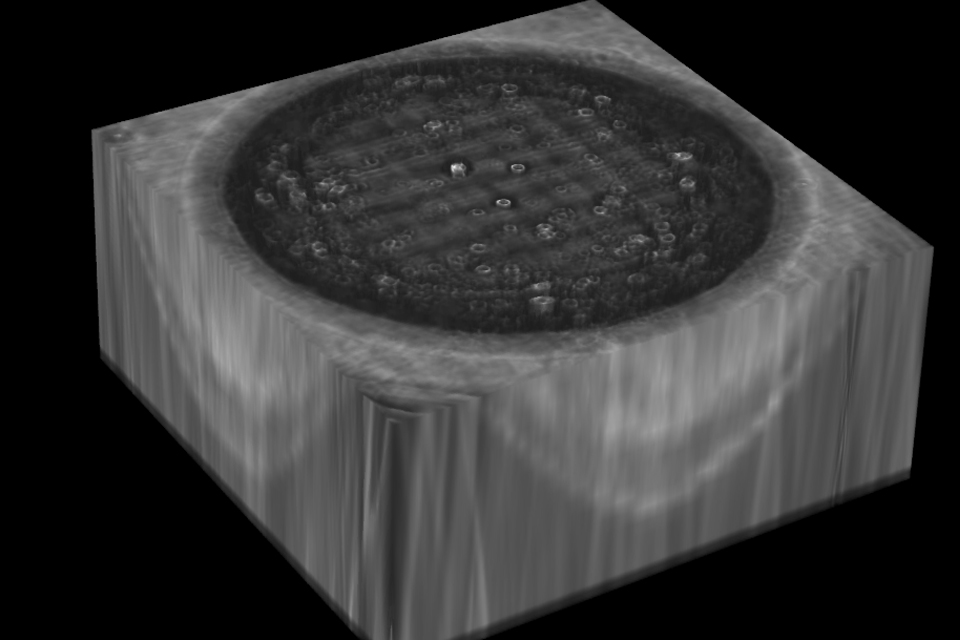 3D cerebral organoid cell culture