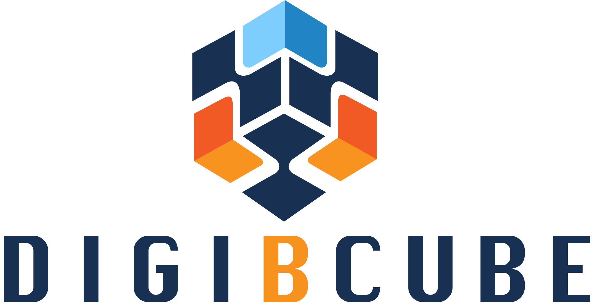 digibcube logo