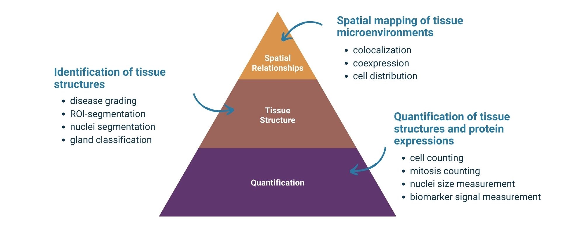 Pathology Image Analysis Software Capabilities