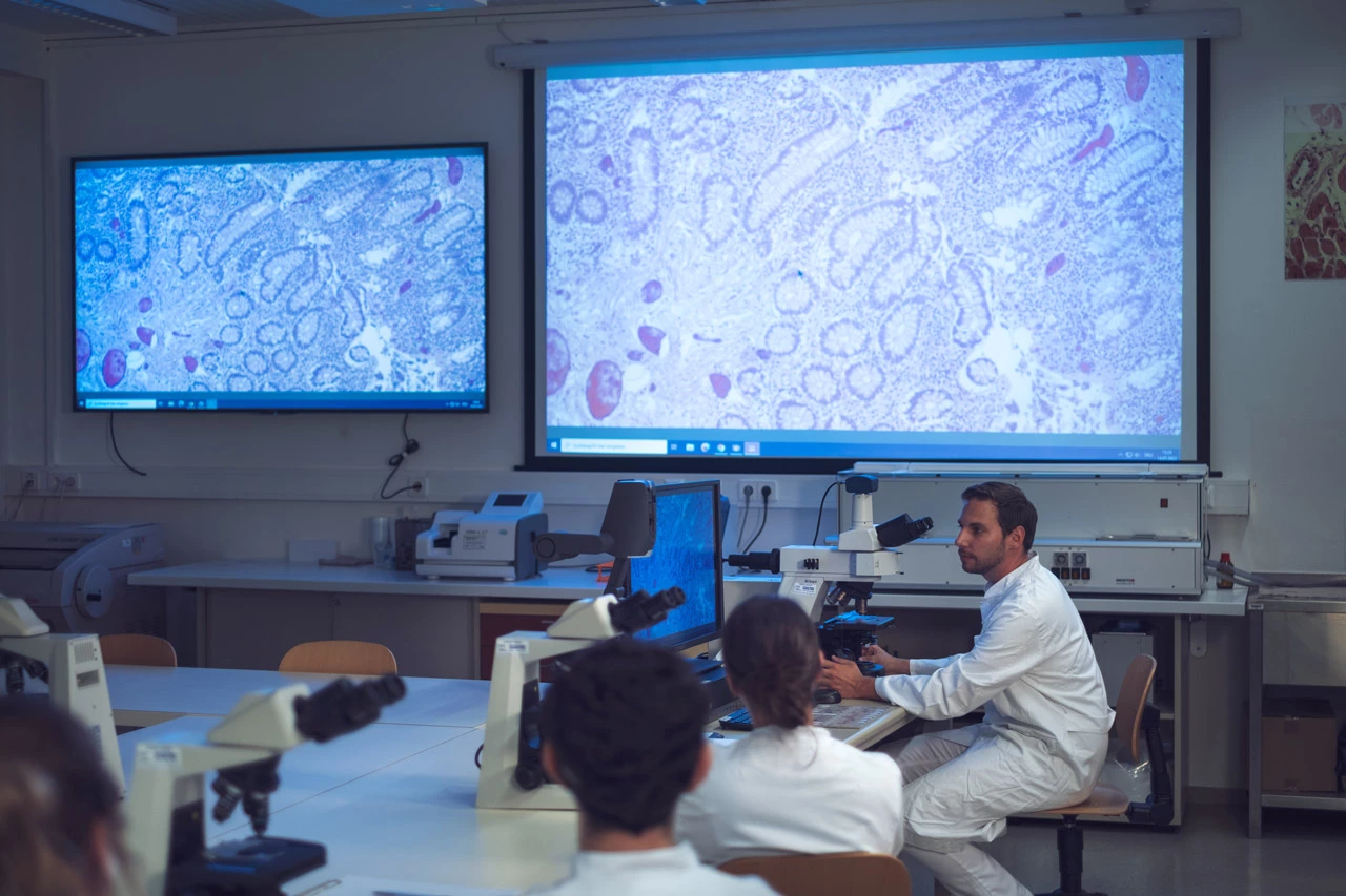 2022-lab-kmlvision-web (36)