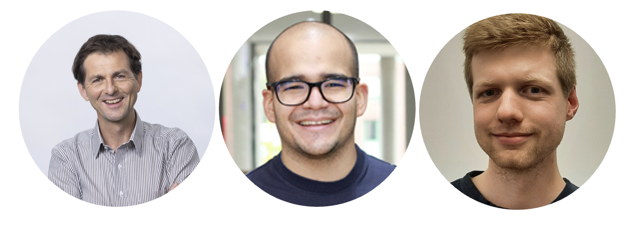 project-team