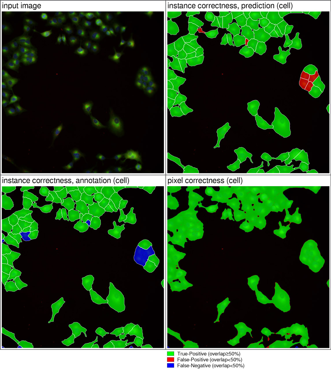 Cell-segmentation-results-compared-to-ground-truth-data