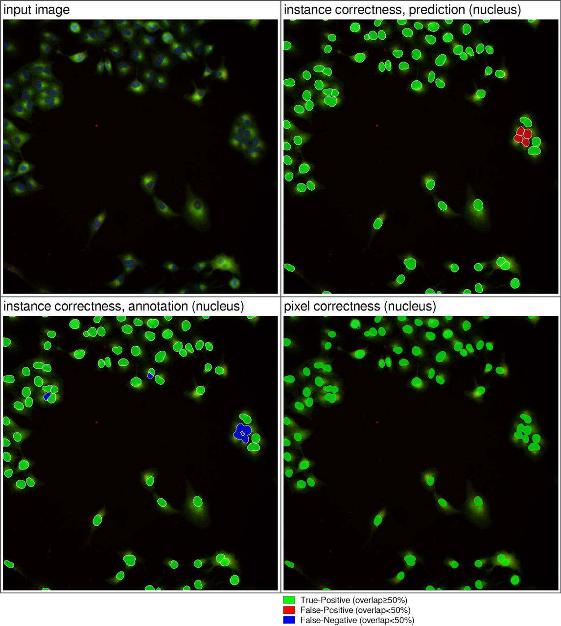 Nucleus-segmentation-results-compared-to-ground-truth-data