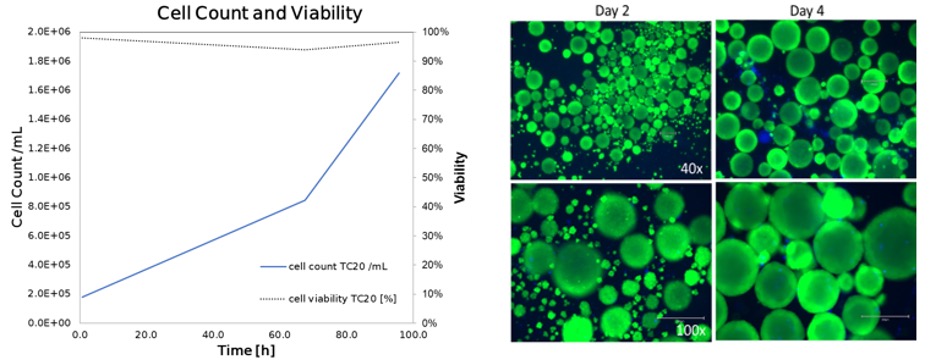 2023-bioreactor-based-expansion-of-urine-derived-iPs-cell-line