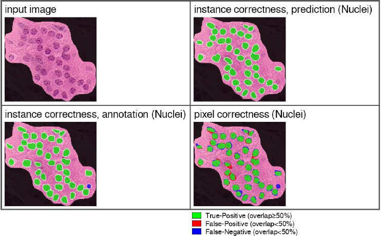 nuclei segmentation extended app training