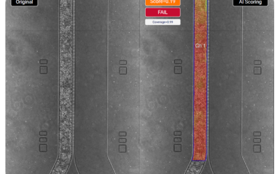 AI-Powered Quality Control for Blood-Brain Barrier-on-Chip Studies